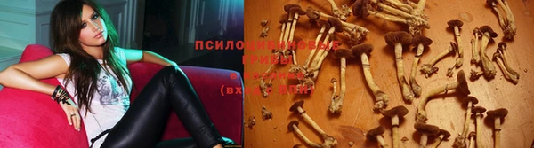 мдпв Беломорск