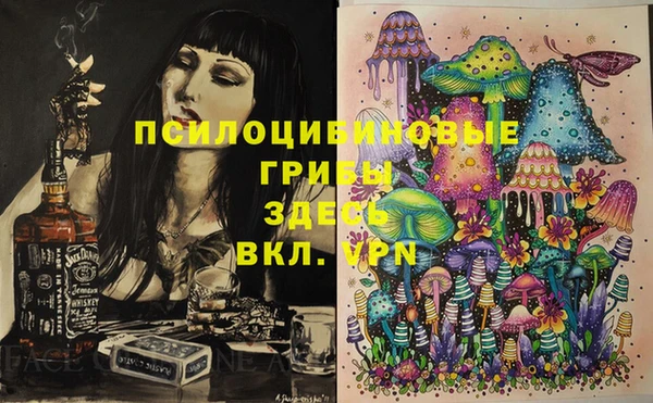 спайс Богородицк