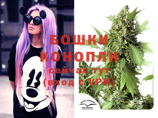 спайс Богородицк