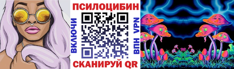 Псилоцибиновые грибы Psilocybine cubensis mega зеркало Мураши