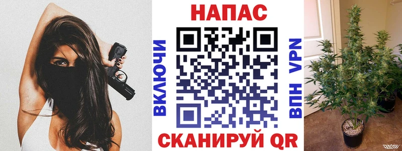 Канабис гибрид hydra ссылка Мураши где можно купить наркотик